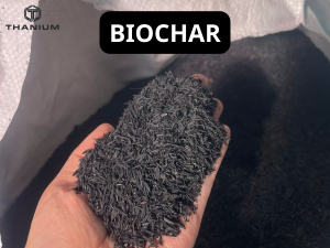 biochar từ vỏ trấu