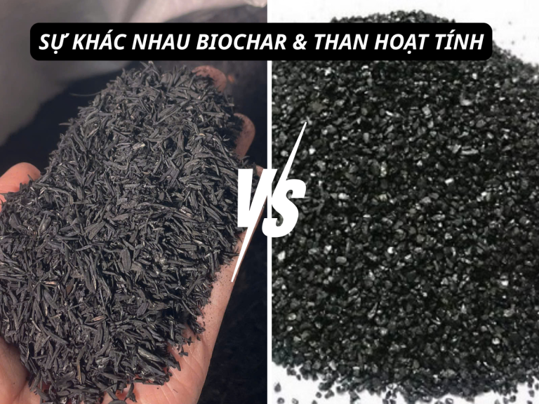 SỰ KHÁC NHAU BIOCHAR & THAN HOẠT TÍNH