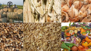 biochar từ các giá thể