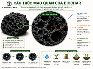Cấu trúc mao quản biocahr giúp lưu trữ nước hiệu quả