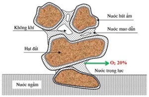 Trấu hun nguyên cánh giúp Tăng độ thoáng khí