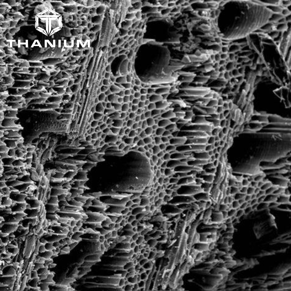 cấu trúc xốp của Biochar