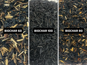 Trấu Hun Nguyên Cánh Biochar 60%, 80% Và 100% Khác Nhau Như Thế Nào?